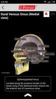 NEUROANATOMY - Digital Atlas capture d'écran 3