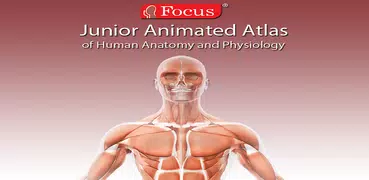 Anatomy Atlas