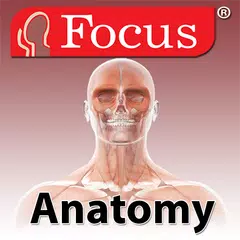 Anatomy Atlas アプリダウンロード
