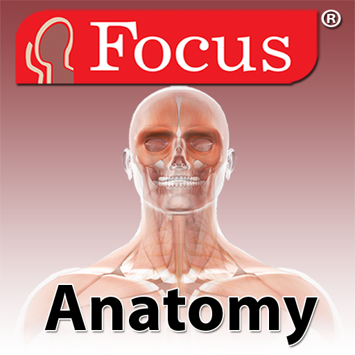 Anatomy Atlas