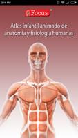 Atlas anatomía Affiche