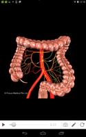 Irritable Bowel Syndrome 스크린샷 3