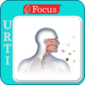 Upper Respiratory Tract