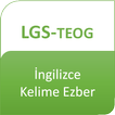 LGS-TEOG İngilizce Kelime Ezber (2019)