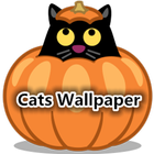 Cats Wallpapers 圖標