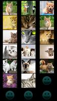 Cats Wallpapers Affiche