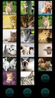 Cats Wallpapers الملصق