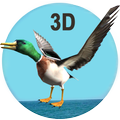 Sea Duck Hunter