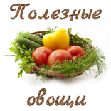 Польза овощей