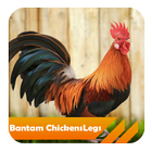 Bantam Chickens icône