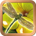 Animals Divine Tarot