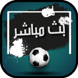 عالم المستديرة