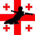 Football league of Georgia