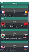 Euro Cup 2016 Affiche