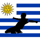 Primera División ikona