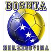 Fudbal Bosna i Hercegovina