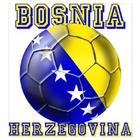 Fudbal Bosna i Hercegovina icône
