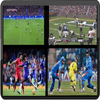 All Sports TV Channel Live HD-icoon