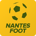 Nantes Foot Supporter