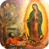 Virgen Guadalupe icon