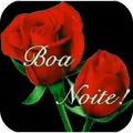 Frases de Boa Noite