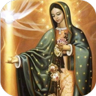 El Amor de Guadalupe icône