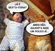 Frases Engraçadas imagem de tela 3