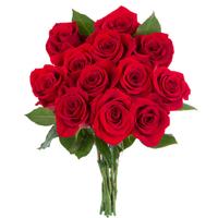Flores con Amor ภาพหน้าจอ 2