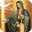 La Guadalupe de México APK