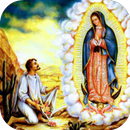Reina de México APK