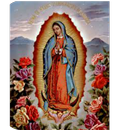 APK La Virgen de Guadalupe