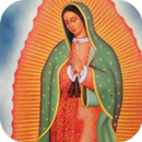 Nuestra Virgen de Guadalupe APK