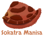 Sokatra Manisa icône