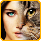 InstaFace morph faces icon