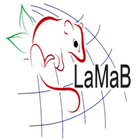 Lamab Id Key icon