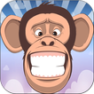 Spiders Monkey