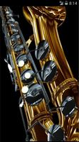 SAXOPHONE HD imagem de tela 1