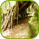 Army Survival Study Guide APK