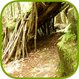 Army Survival Study Guide biểu tượng