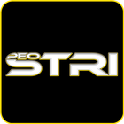 PEO STRI DSRG (2013/2014) icône