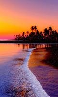 HD Beach Sunset Live Wallpaper capture d'écran 1