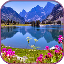 HD Nature Live Wallpaper APK