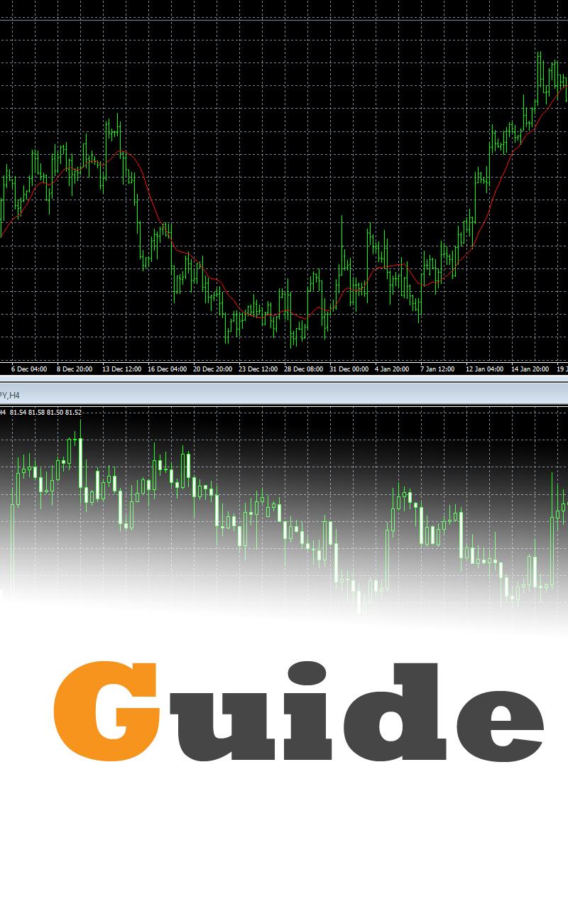 Metatrader 4 portable