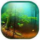 Forest 3D Live Wallpapers-APK