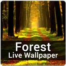 Forest Live Wallpaper - Nature Forest HD Wallpaper APK