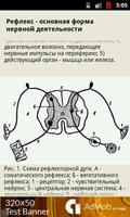 2 Schermata Анатомия