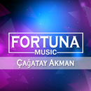 Çağatay Akman Şarkıları - Bizim Hikaye APK