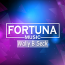 Wally B Seck Songs APK