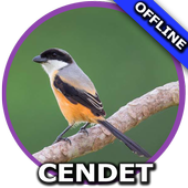 Suara Burung Cendet Juara For Android Apk Download