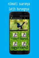 برنامه‌نما Suara Burung Kacer Mp3 عکس از صفحه